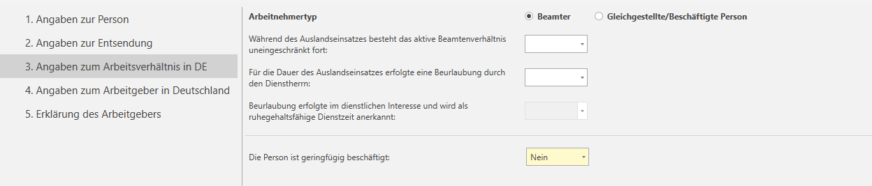 Angaben zum Arbeitsverhältnis in DE