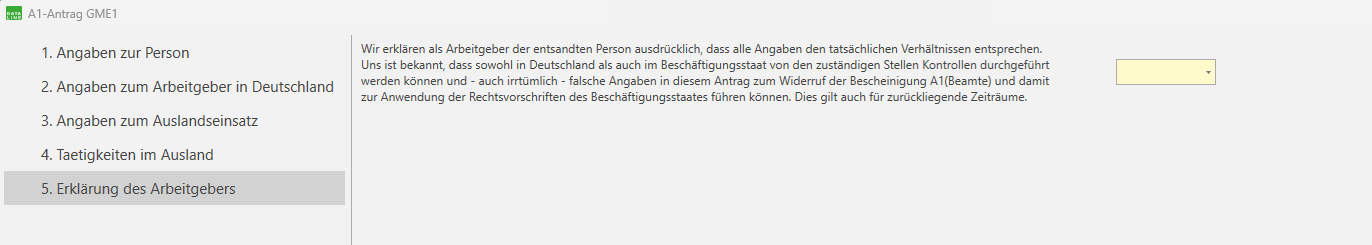 Erklärung des Arbeitgebers