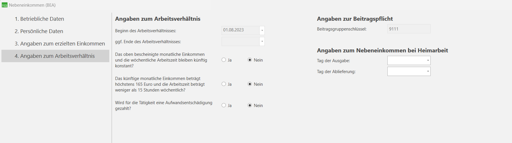 Angaben zum erzielten Einkommen